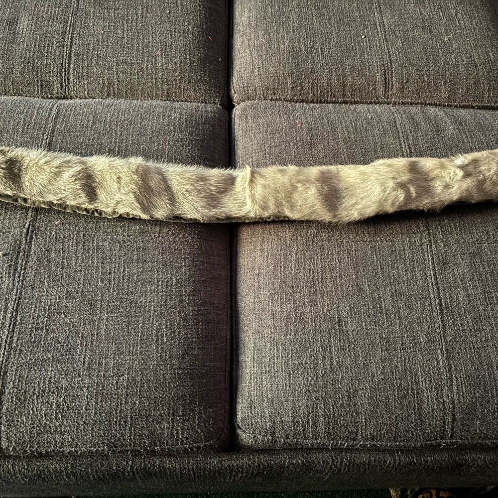 Beautiful light gray mink collar clips on both sides 27”L